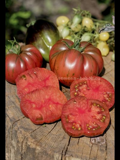 Томат Suffer Well (Саффер Вел), 10 шт