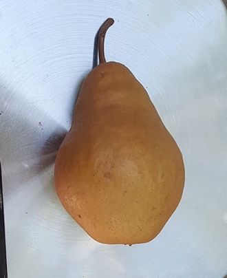 Груша Уиллард