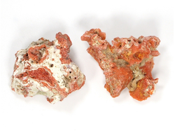 Коралл природный в ассортименте, Индонезия (30-35 мм, 6-7 г) №27529