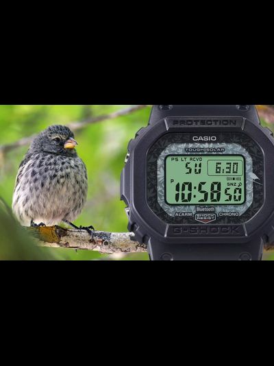 Часы Casio G-Shock GW-B5600CD-1A3