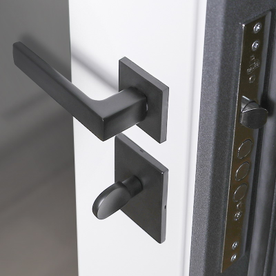 Стальная дверь    Беркут с зеркалом