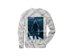 Свитшот The Long Dark, Лонг Дарк №10