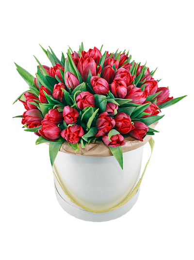 25 тюльпанов в шляпной коробке