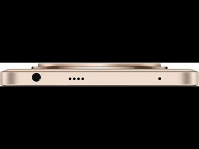 Realme 13 Plus 5G 8/256GB (RMX5000) Золотой