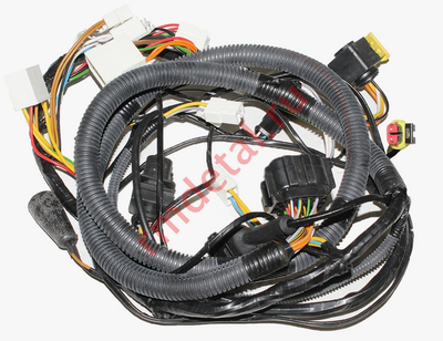 Жгут основной C41101200