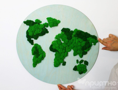 ЖИВАЯ ЭКО-КАРТИНА 1041