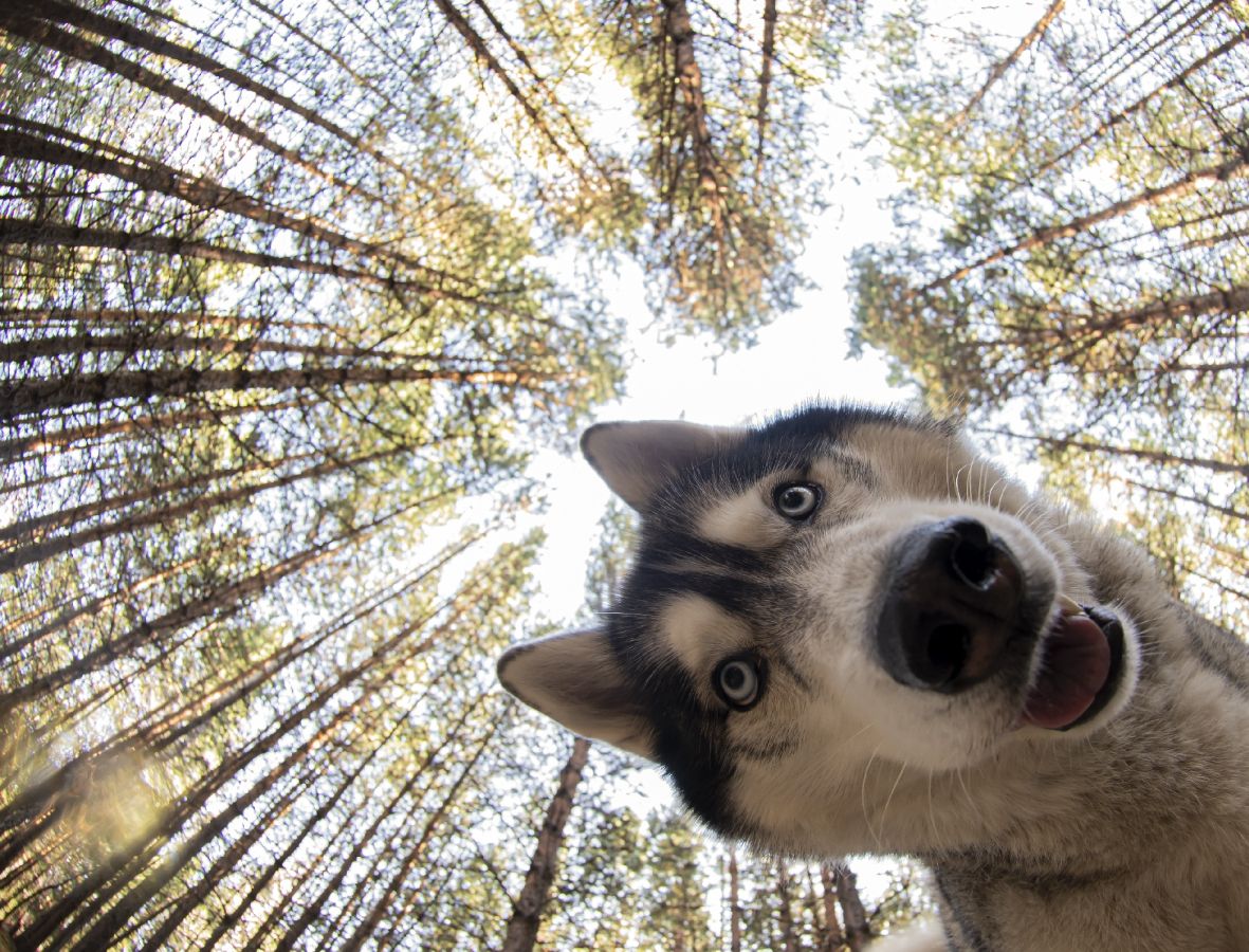 созерцание конкурс