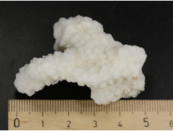 Коралл белый, коллекционный образец, Китай (50*41*22 мм, 23 г) №37697