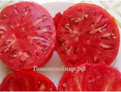 Томат Ник Харп Особенный (Nick Harp's Special, Германия)