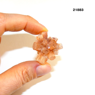 Арагонит натуральный (кристалл) арт.21883: 11,0г - 26*24*20мм