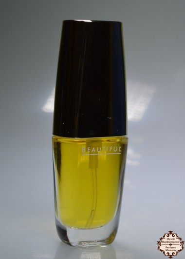 Estee Lauder Beautiful