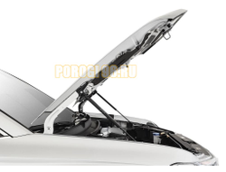 Амортизаторы капота, 2 шт. АвтоУпор для Volkswagen Taos 2021-