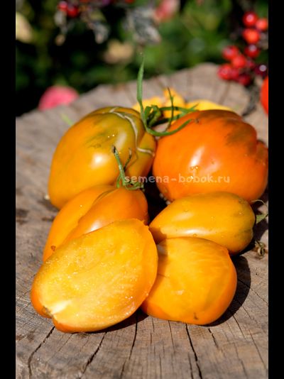 Томат Огненный гребень цвета Охра (Cresta di Fuoco), 10 шт