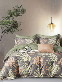 Постельное белье TANGO Twill сатин евро 200x220x1 230x250x1 50x70x2 70x70x2 TPIG6-2038