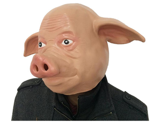 Поставщик сувениров свиней