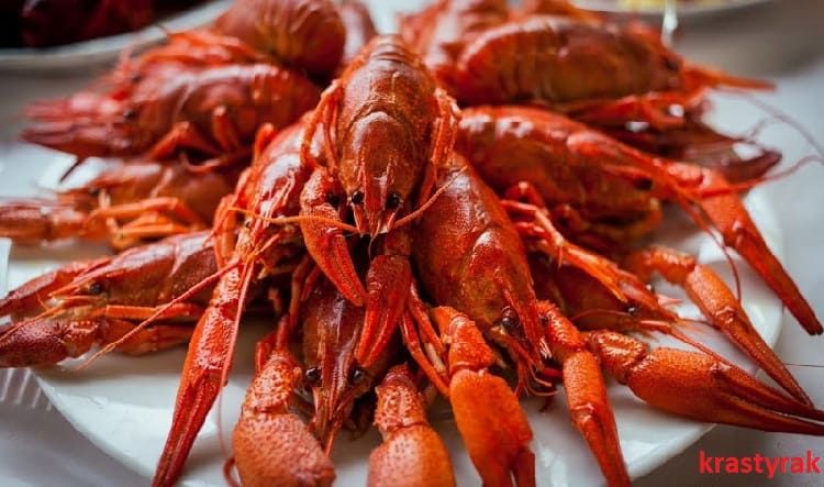 Готовые вареные раки в тарелке