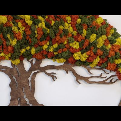 Живая эко-картина 1010 (100х75см)