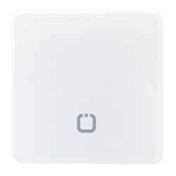 Мастер-кнопка для управления кранами | для серии Neptun Smart