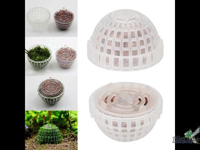 Декорация для мха Moss Ball (полусфера)