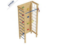 ДСК Реми фото, ДСК Самсон фото, дск фото, купит дск фото, сибирь-дети фото,