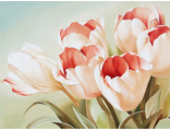 Розовые тюльпаны Ah36341 (алмазная мозаика)