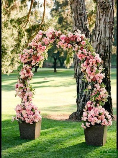 Арки садовые,арки в аренду,арки металлические,арка садовая купить,растения для садовой арки