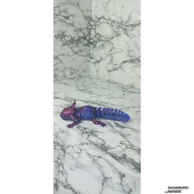 Аксолотль