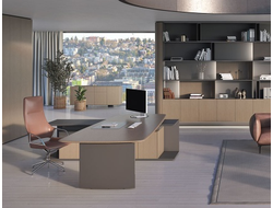 Кабинет руководителя FOSTER