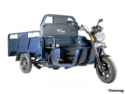Электротрицикл Rutrike D4 Гибрид 1800 60V1200W
