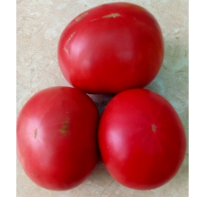 Томат Болгарское чудо