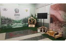 Национальный лесной форум 2018