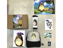 Бокс Мой сосед Тоторо, Totoro №3