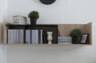 ЛИБЕРТИ Полка НП1