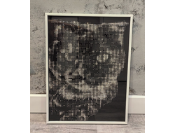 Портрет питомца формат А2 50х70 см