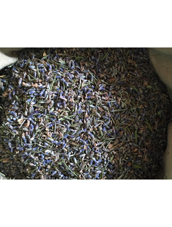 купить лаванду оптом