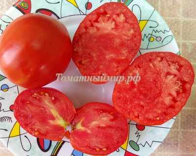 Томат Итало (Italo)
