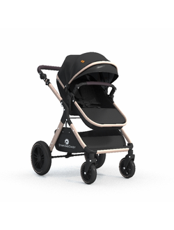 коляски Коляска детская ASSET