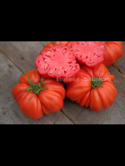 Томат Rim (Рим), 10 шт