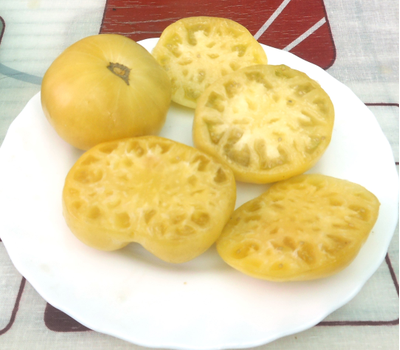 Томат Dwarf Summertime Gold (Гном Летнее Золото)