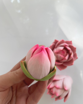 БУТОН ЛОТОСА