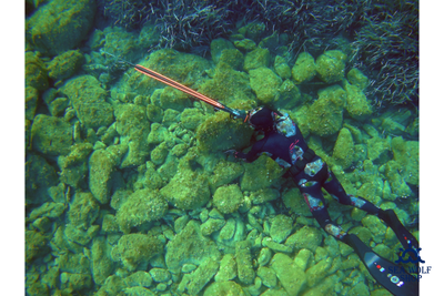 Гидрокостюм неопрен 5мм C4 Carbon Rock р. 4/L-52