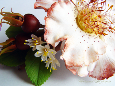 Комплект "Шиповник и корица". Цветы из полимерной глины.