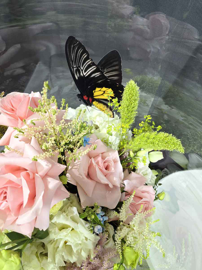 Большой букет в нежных тонах с пятью бабочками №137