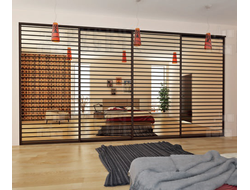 Шкаф-купе Ариадна 028