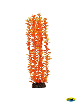 Ар1190 4691 Растение пласт.46см. Оранжевое Людвигия