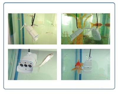 VStarcam. Уличная IP WiFi/LAN видеокамера с DVR, HD