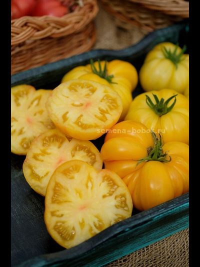 Томат CDOXCDH Б. Хортона, 10 шт