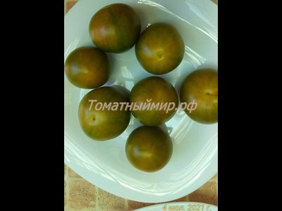 Томат Злая Маслина (Evil Olive, США)