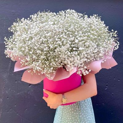 Коробка из гипсофилы
