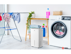 Осушитель воздуха серии PACIFIC  Loft RD-PC25-E